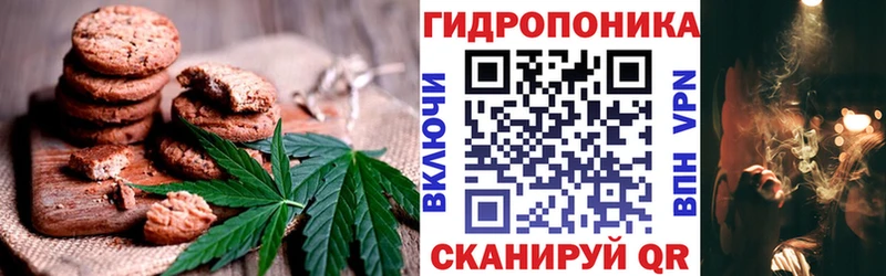 Canna-Cookies конопля  магазин продажи   omg онион  Нахабино 